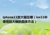 iphone11放大镜在哪（ios11中使用放大镜的具体方法）