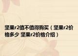 坚果r2值不值得购买（坚果r2价格多少 坚果r2价格介绍）