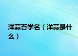 洋蒜苔学名（洋蒜是什么）
