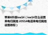 苹果6升级ios14（ios14怎么设置来电归属地 iOS14电话来电归属地设置教程）