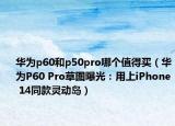 华为p60和p50pro哪个值得买（华为P60 Pro草图曝光：用上iPhone 14同款灵动岛）