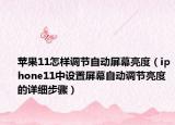 苹果11怎样调节自动屏幕亮度（iphone11中设置屏幕自动调节亮度的详细步骤）