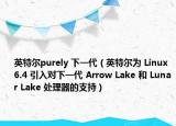 英特尔purely 下一代（英特尔为 Linux 6.4 引入对下一代 Arrow Lake 和 Lunar Lake 处理器的支持）