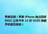 苹果官网（苹果 iPhone 独占四席DSCC 公布今年 13 月 OLED 旗舰手机前五榜单）