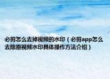 必剪怎么去掉视频的水印（必剪app怎么去除原视频水印具体操作方法介绍）