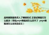 战网更新服务进入了睡眠模式 正尝试唤醒它怎么解决（荣耀yoyo唤醒词怎么改不了  yoyo唤醒词怎么设置自定义）