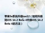 苹果5s系统升级ios12（如何升级到iOS 14.2 Beta 4升级iOS 14.2 Beta 4的方法）