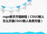 csgo新手开箱教程（CSGO新人怎么开箱CSGO新人免费开箱）