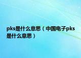 pks是什么意思（中国电子pks是什么意思）