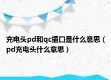 充电头pd和qc插口是什么意思（pd充电头什么意思）