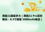 真我11屏幕多大（真我11 Pro谍照曝光：6.3寸屏幕 5000mAh电池）