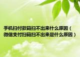 手机扫付款码扫不出来什么原因（微信支付扫码扫不出来是什么原因）