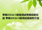 苹果iOS14.5新版测试有哪些新功能 苹果iOS14.5新测试版信息介绍