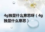 4g独显什么意思呀（4g独显什么意思）