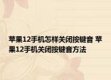 苹果12手机怎样关闭按键音 苹果12手机关闭按键音方法