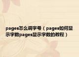 pages怎么调字号（pages如何显示字数pages显示字数的教程）