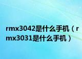 rmx3042是什么手机（rmx3031是什么手机）