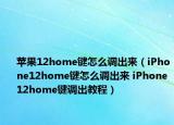 苹果12home键怎么调出来（iPhone12home键怎么调出来 iPhone12home键调出教程）