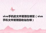 vivo手机的文件管理在哪里（vivo手机文件管理回收站在哪）
