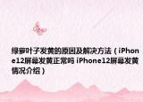 绿萝叶子发黄的原因及解决方法（iPhone12屏幕发黄正常吗 iPhone12屏幕发黄情况介绍）