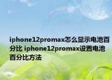 iphone12promax怎么显示电池百分比 iphone12promax设置电池百分比方法