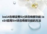 ios14在哪设置Siri语音唤醒功能 ios14启用Siri语音唤醒功能的方法