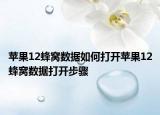 苹果12蜂窝数据如何打开苹果12蜂窝数据打开步骤