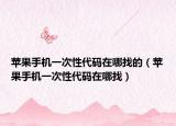 苹果手机一次性代码在哪找的（苹果手机一次性代码在哪找）