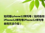 如何看iphone12序列号（如何查询iPhone12序列号iPhone12序列号查询方法介绍）