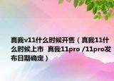 真我v11什么时候开售（真我11什么时候上市  真我11pro /11pro发布日期确定）
