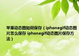 苹果动态图如何保存（iphonegif动态图片怎么保存 iphonegif动态图片保存方法）