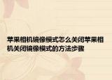 苹果相机镜像模式怎么关闭苹果相机关闭镜像模式的方法步骤