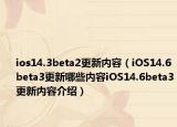 ios14.3beta2更新内容（iOS14.6beta3更新哪些内容iOS14.6beta3更新内容介绍）