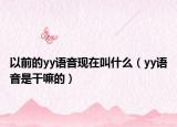 以前的yy语音现在叫什么（yy语音是干嘛的）