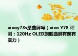 vivoy73s是曲屏吗（vivo Y78 评测：120Hz OLED旗舰曲屏有颜有实力）