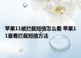 苹果11被拦截短信怎么看 苹果11查看拦截短信方法