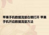 苹果手机数据流量在哪打开 苹果手机开启数据流量方法