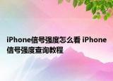iPhone信号强度怎么看 iPhone信号强度查询教程