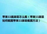 苹果11截屏幕怎么截（苹果11屏幕如何截图苹果11屏幕截图方法）