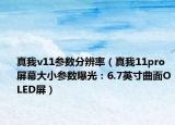 真我v11参数分辨率（真我11pro 屏幕大小参数曝光：6.7英寸曲面OLED屏）