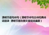 清明节语句诗句（清明节诗句古诗经典诗词语录  清明节朋友圈文案说说最新）