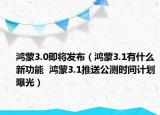 鸿蒙3.0即将发布（鸿蒙3.1有什么新功能  鸿蒙3.1推送公测时间计划曝光）
