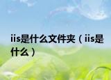 iis是什么文件夹（iis是什么）
