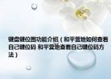 键盘键位图功能介绍（和平营地如何查看自己键位码 和平营地查看自己键位码方法）