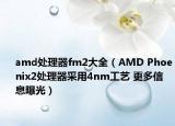 amd处理器fm2大全（AMD Phoenix2处理器采用4nm工艺 更多信息曝光）