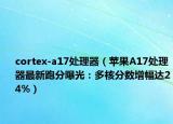 cortex-a17处理器（苹果A17处理器最新跑分曝光：多核分数增幅达24%）