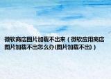 微软商店图片加载不出来（微软应用商店图片加载不出怎么办(图片加载不出)）