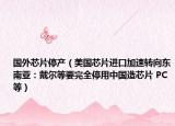 国外芯片停产（美国芯片进口加速转向东南亚：戴尔等要完全停用中国造芯片 PC等）