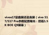 vivos17是曲屏还是直屏（vivo S17/S17 Pro参数配置曝光：搭载1.5K BOE Q9屏幕）