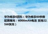 华为畅享6百科（华为畅享60参数配置曝光：6000mAh电池 支持22.5W快充）
